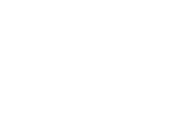 Detail Dash Car Detailing logo
